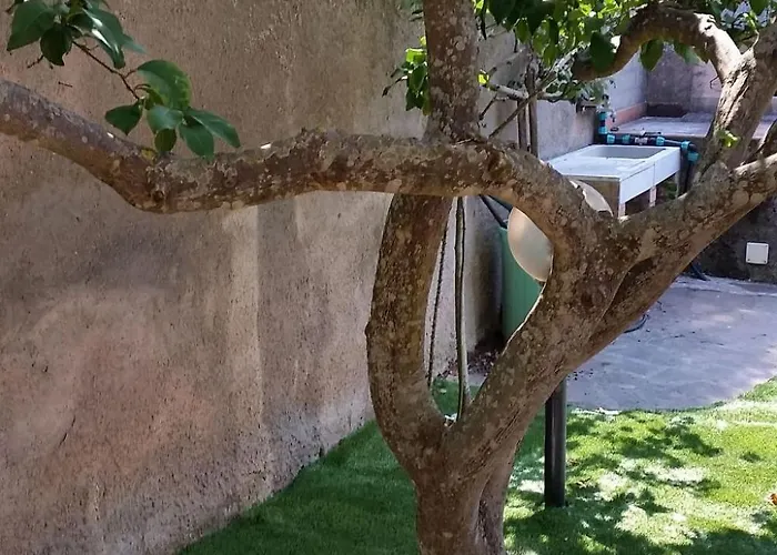 Baia 1 - Casa Rossella By Interhome Apartament Portoferraio